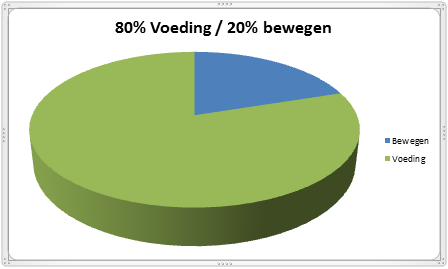 80% Voeding en 20% bewegen